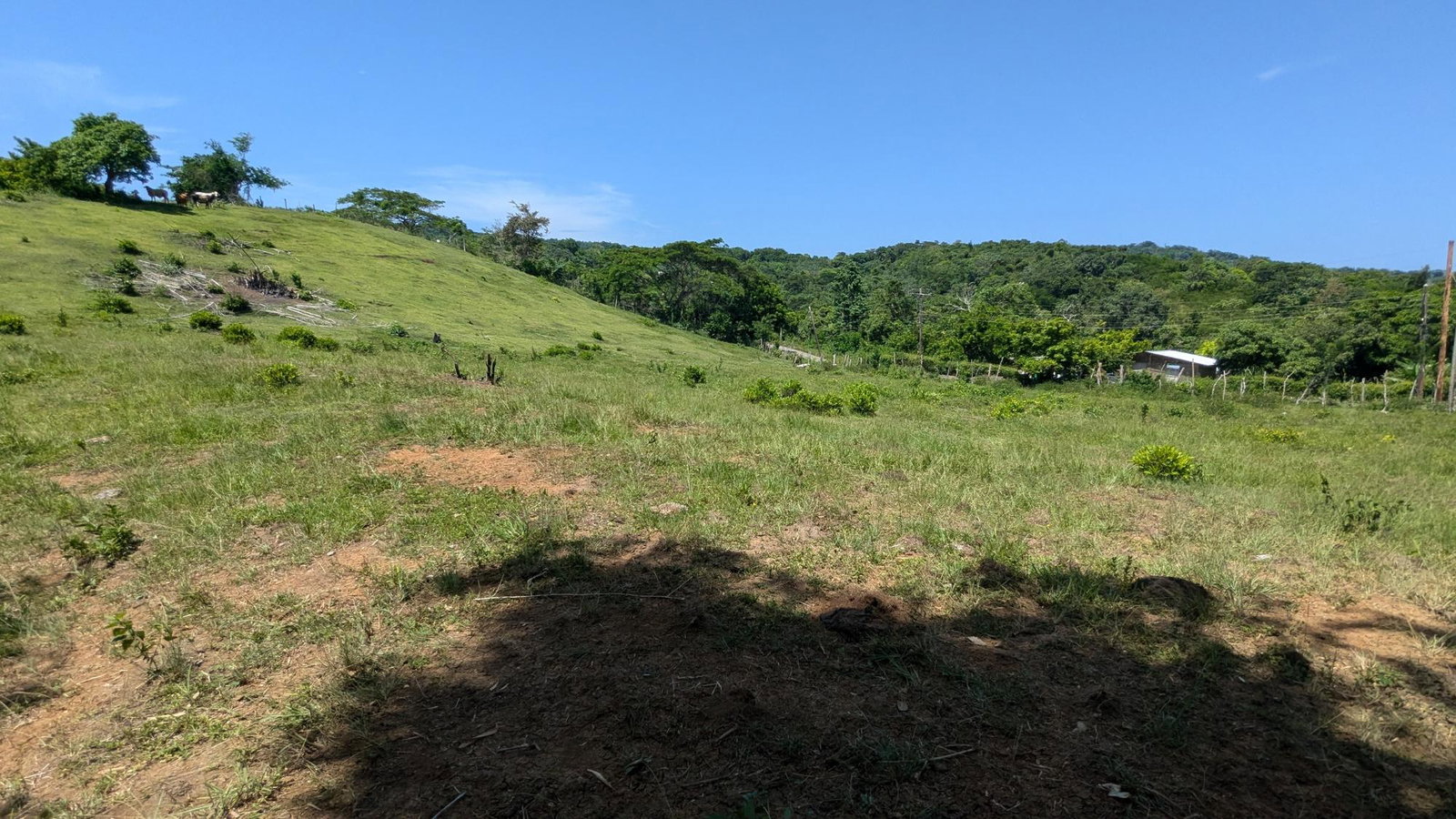 Nineteenth image of Heywood Hall in Heywood Hall, St. Mary, Jamaica - property is For Sale