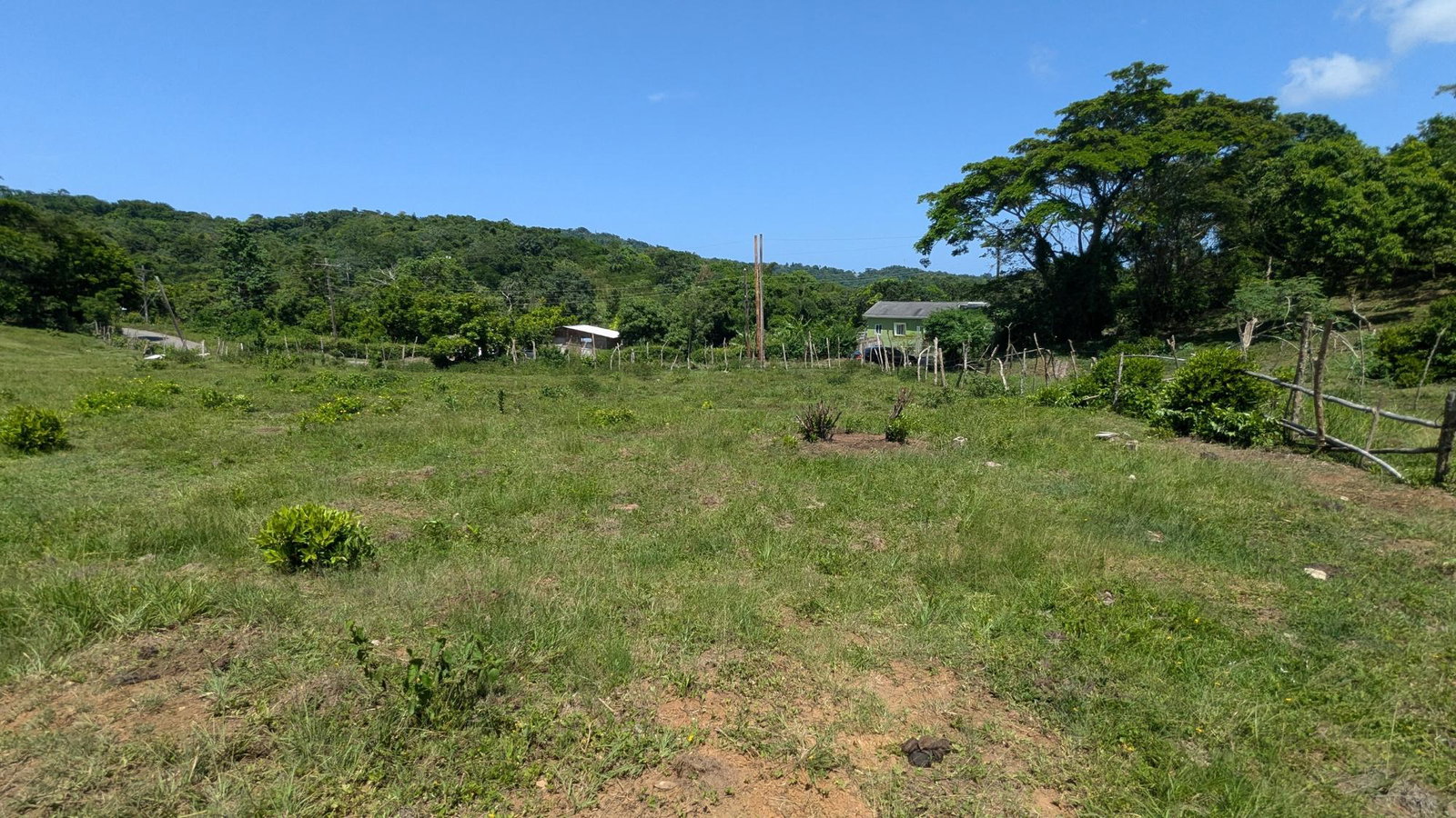 Twenty-First image of Heywood Hall in Heywood Hall, St. Mary, Jamaica - property is For Sale