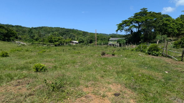Twenty-First image of Heywood Hall in Heywood Hall, St. Mary, Jamaica - property is For Sale