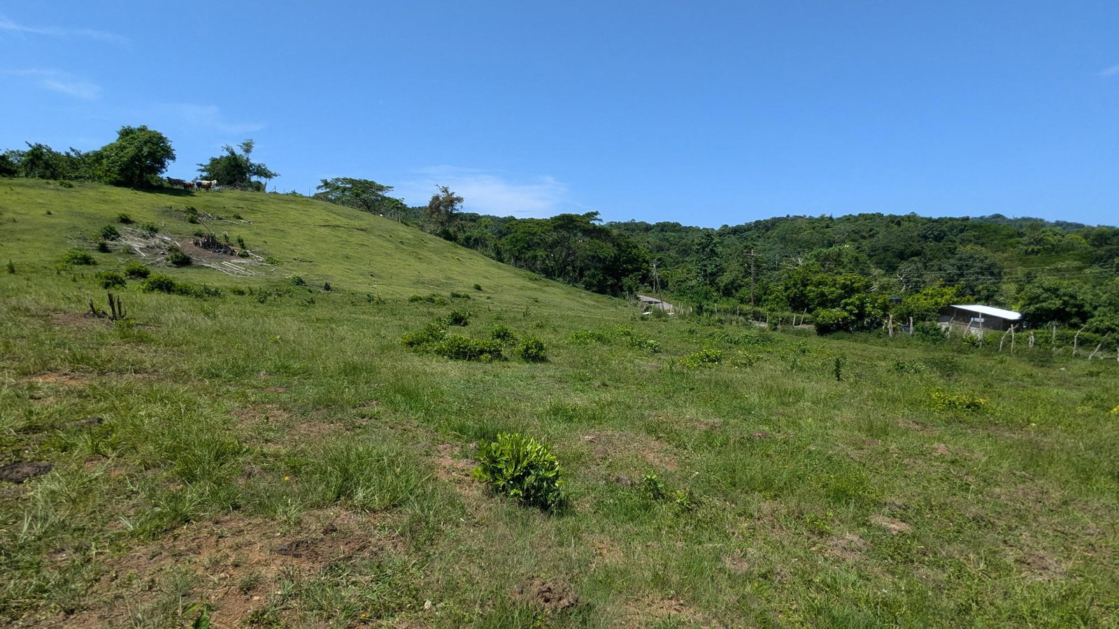 Twenty-Second image of Heywood Hall in Heywood Hall, St. Mary, Jamaica - property is For Sale