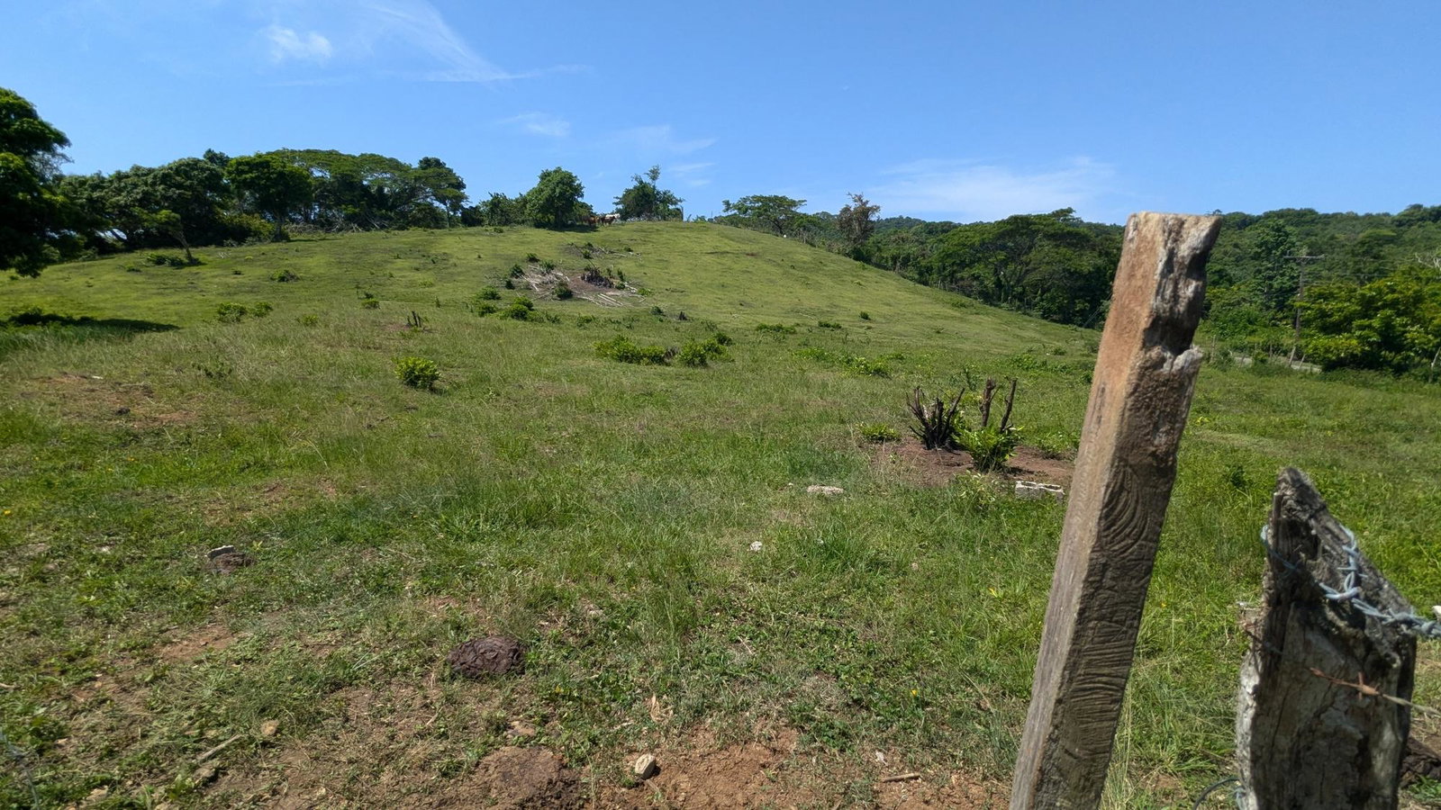 Twenty-Third image of Heywood Hall in Heywood Hall, St. Mary, Jamaica - property is For Sale