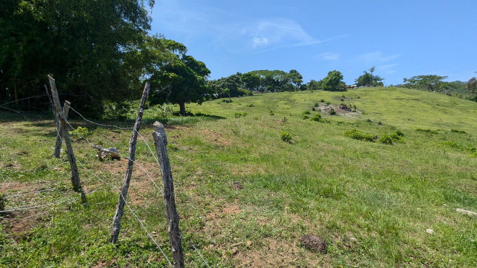 Twenty-Fourth image of Heywood Hall in Heywood Hall, St. Mary, Jamaica - property is For Sale