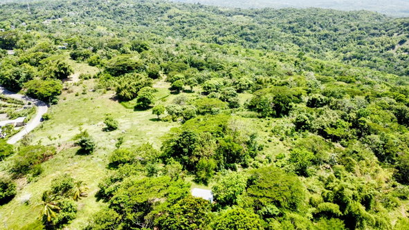 Fourth image of Heywood Hall in Heywood Hall, St. Mary, Jamaica - property is For Sale