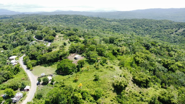 Fifth image of Heywood Hall in Heywood Hall, St. Mary, Jamaica - property is For Sale