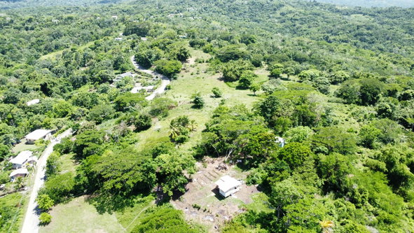 Sixth image of Heywood Hall in Heywood Hall, St. Mary, Jamaica - property is For Sale