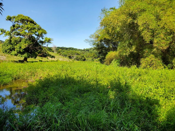 Ninth image of Heywood Hall in Heywood Hall, St. Mary, Jamaica - property is For Sale