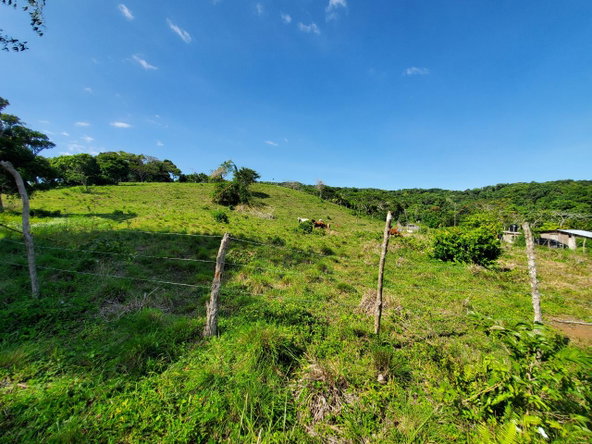 Tenth image of Heywood Hall in Heywood Hall, St. Mary, Jamaica - property is For Sale
