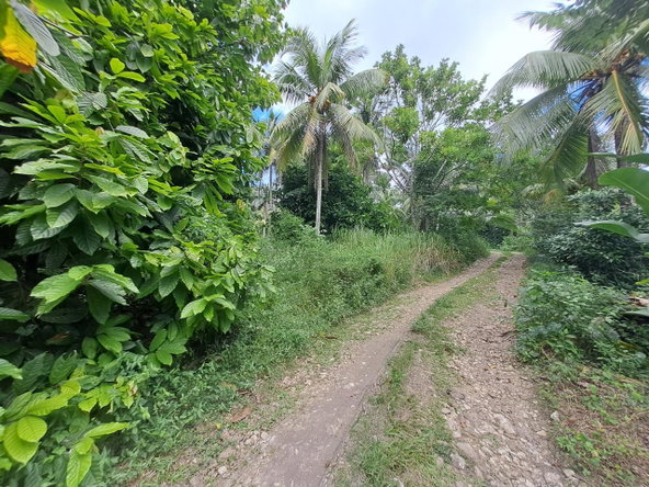 Second image of 3 Fontabelle, Free Hill, p. in Fontabelle, St. Mary, Jamaica - property is For Sale