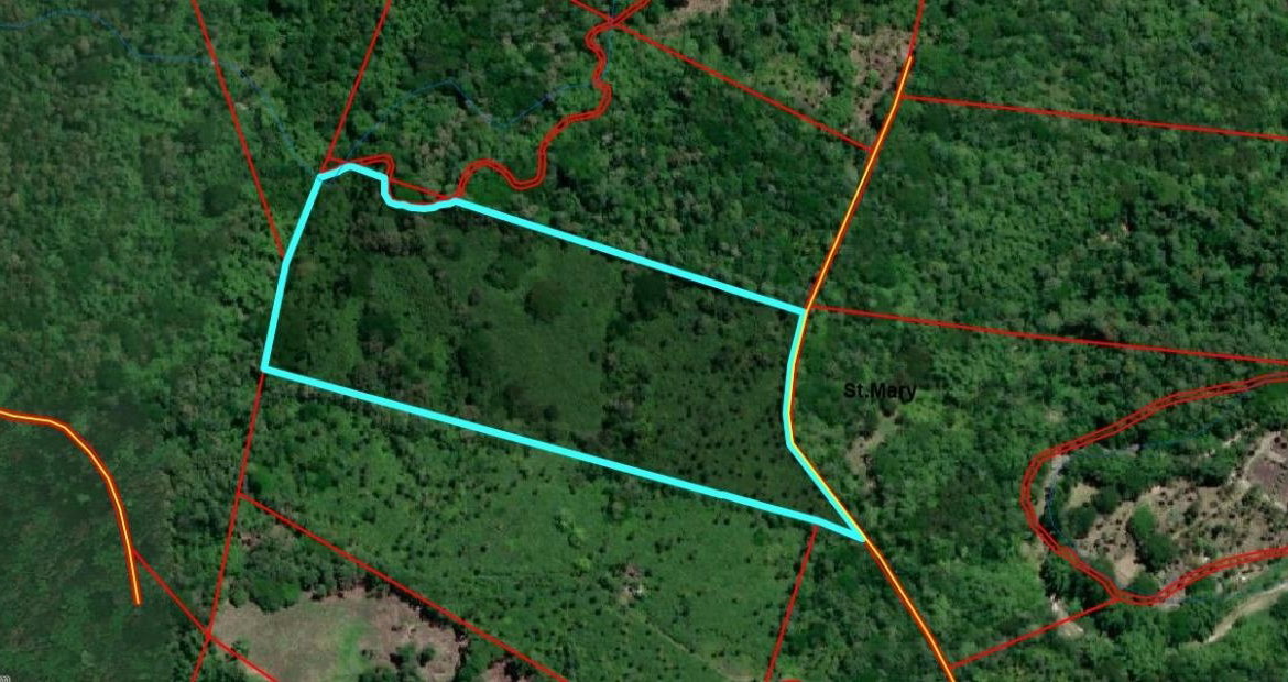 Thirteenth image of 3 Fontabelle, Free Hill, p. in Fontabelle, St. Mary, Jamaica - property is For Sale