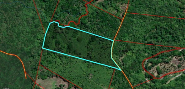 Thirteenth image of 3 Fontabelle, Free Hill, p. in Fontabelle, St. Mary, Jamaica - property is For Sale