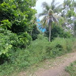 First image of 3 Fontabelle, Free Hill, p. in Fontabelle, St. Mary, Jamaica - property is For Sale