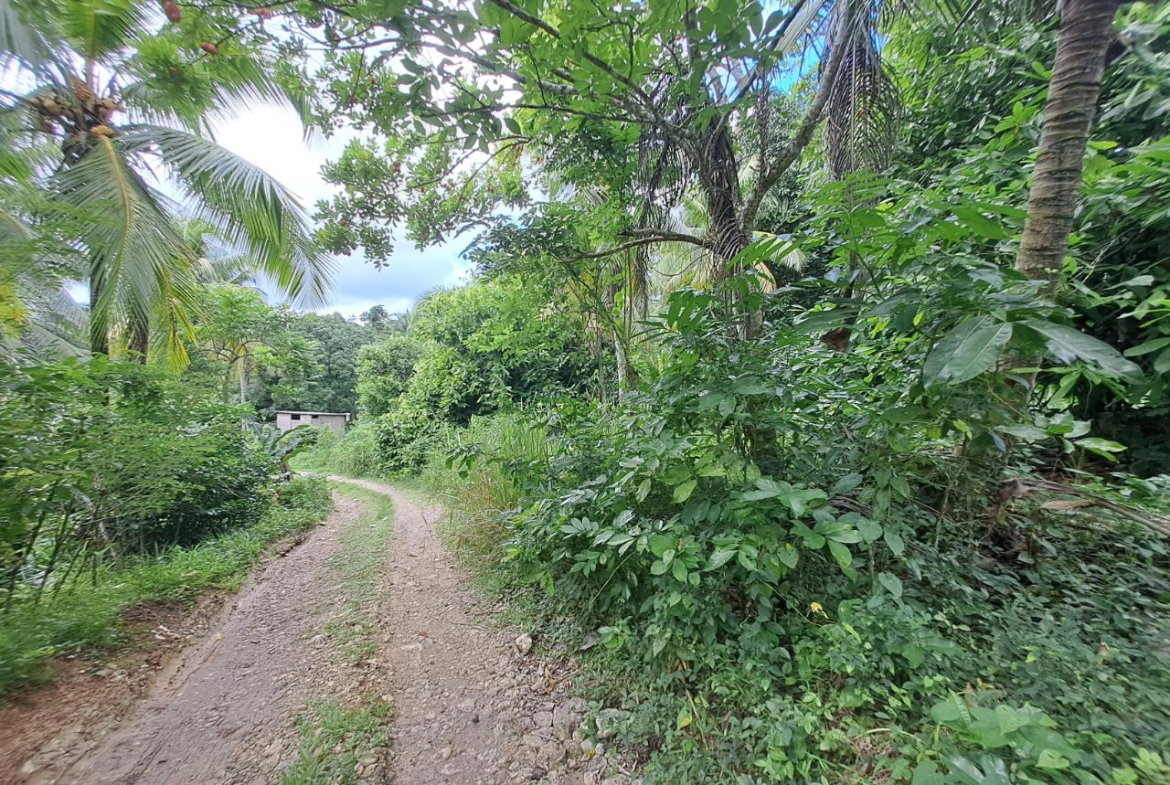Seventh image of 3 Fontabelle, Free Hill, p. in Fontabelle, St. Mary, Jamaica - property is For Sale