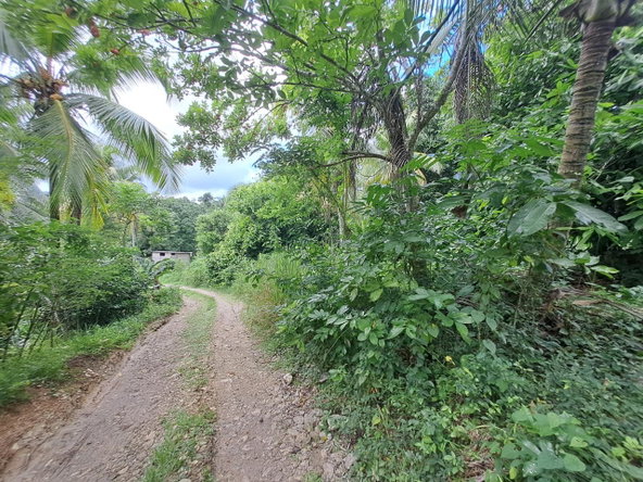 Seventh image of 3 Fontabelle, Free Hill, p. in Fontabelle, St. Mary, Jamaica - property is For Sale