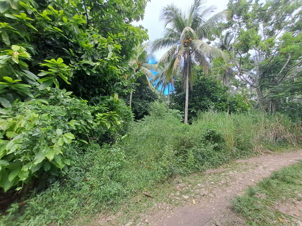 First image of 3 Fontabelle, Free Hill, p. in Fontabelle, St. Mary, Jamaica - property is For Sale
