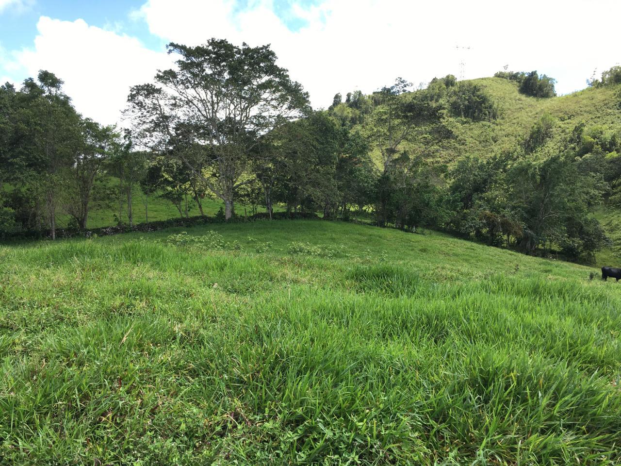 21.2-Acre-Residential-Development-Land-for-Sale-in-Chippenham-Park-St.-Ann-Jamaica Third image of Chippenham Park, Bamboo in Bamboo, St. Ann, Jamaica - property is For Sale