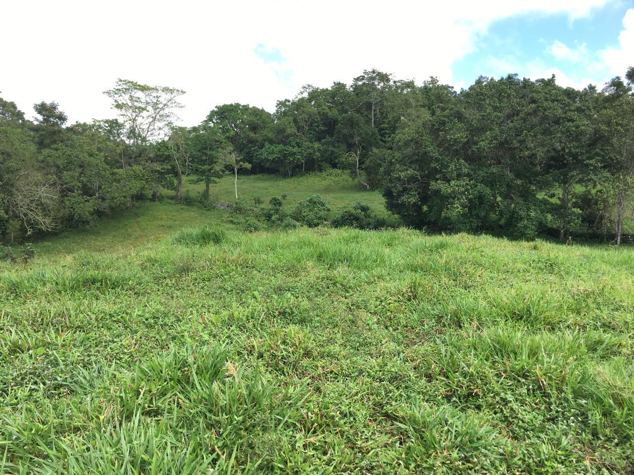 21.2-Acre-Residential-Development-Land-for-Sale-in-Chippenham-Park-St.-Ann-Jamaica Fifth image of Chippenham Park, Bamboo in Bamboo, St. Ann, Jamaica - property is For Sale