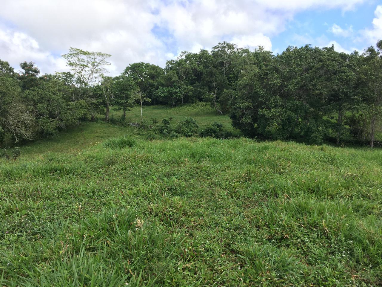 21.2-Acre-Residential-Development-Land-for-Sale-in-Chippenham-Park-St.-Ann-Jamaica Sixth image of Chippenham Park, Bamboo in Bamboo, St. Ann, Jamaica - property is For Sale