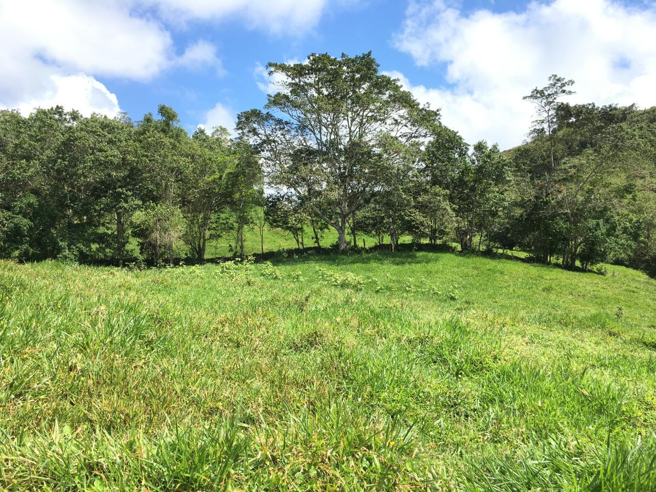 21.2-Acre-Residential-Development-Land-for-Sale-in-Chippenham-Park-St.-Ann-Jamaica Seventh image of Chippenham Park, Bamboo in Bamboo, St. Ann, Jamaica - property is For Sale