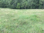 First image of Chippenham Park, Bamboo in Bamboo, St. Ann, Jamaica - property is For Sale