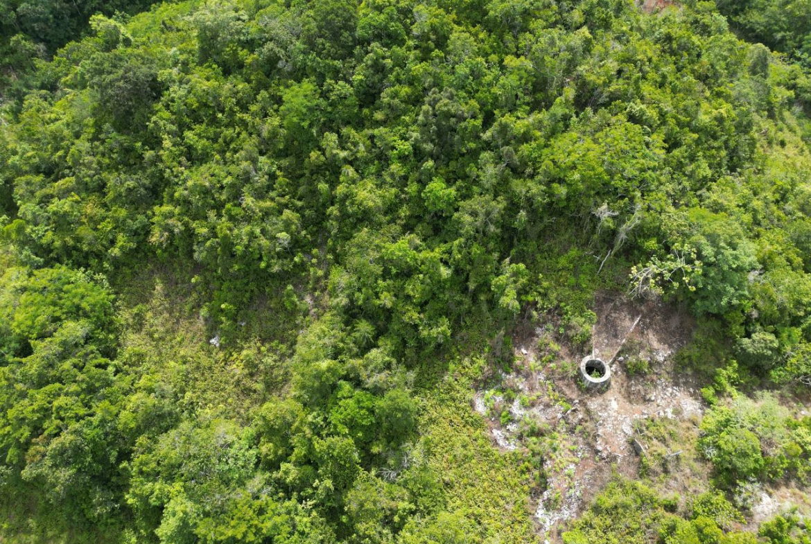 Second image of Lower Buxton in Lower Buxton, St. Ann, Jamaica - property is For Sale