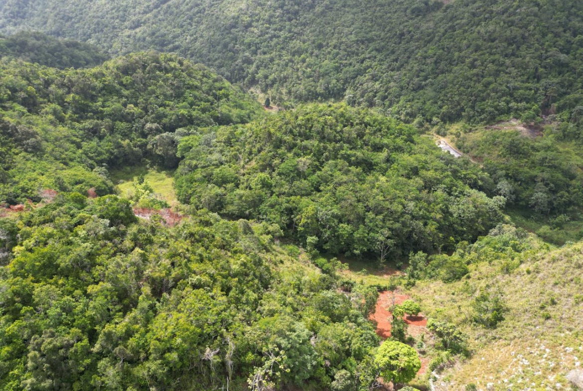 First image of Lower Buxton in Lower Buxton, St. Ann, Jamaica - property is For Sale