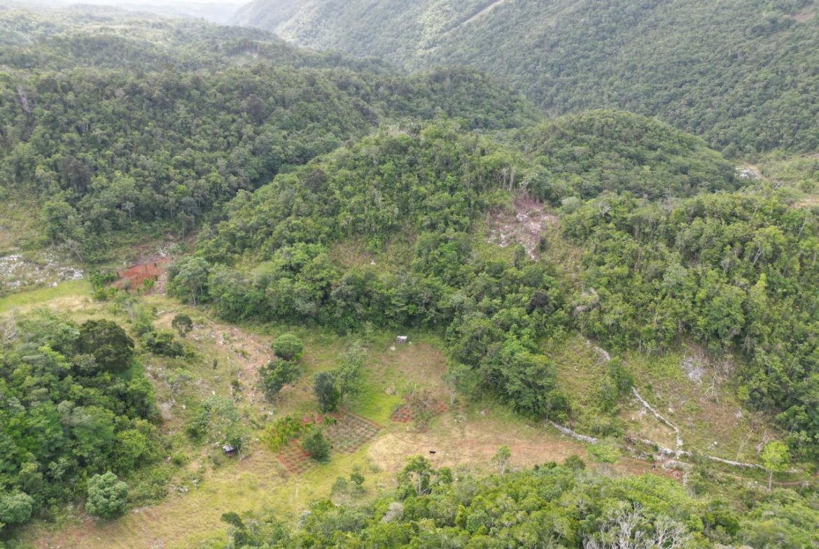 Third image of Lower Buxton in Lower Buxton, St. Ann, Jamaica - property is For Sale