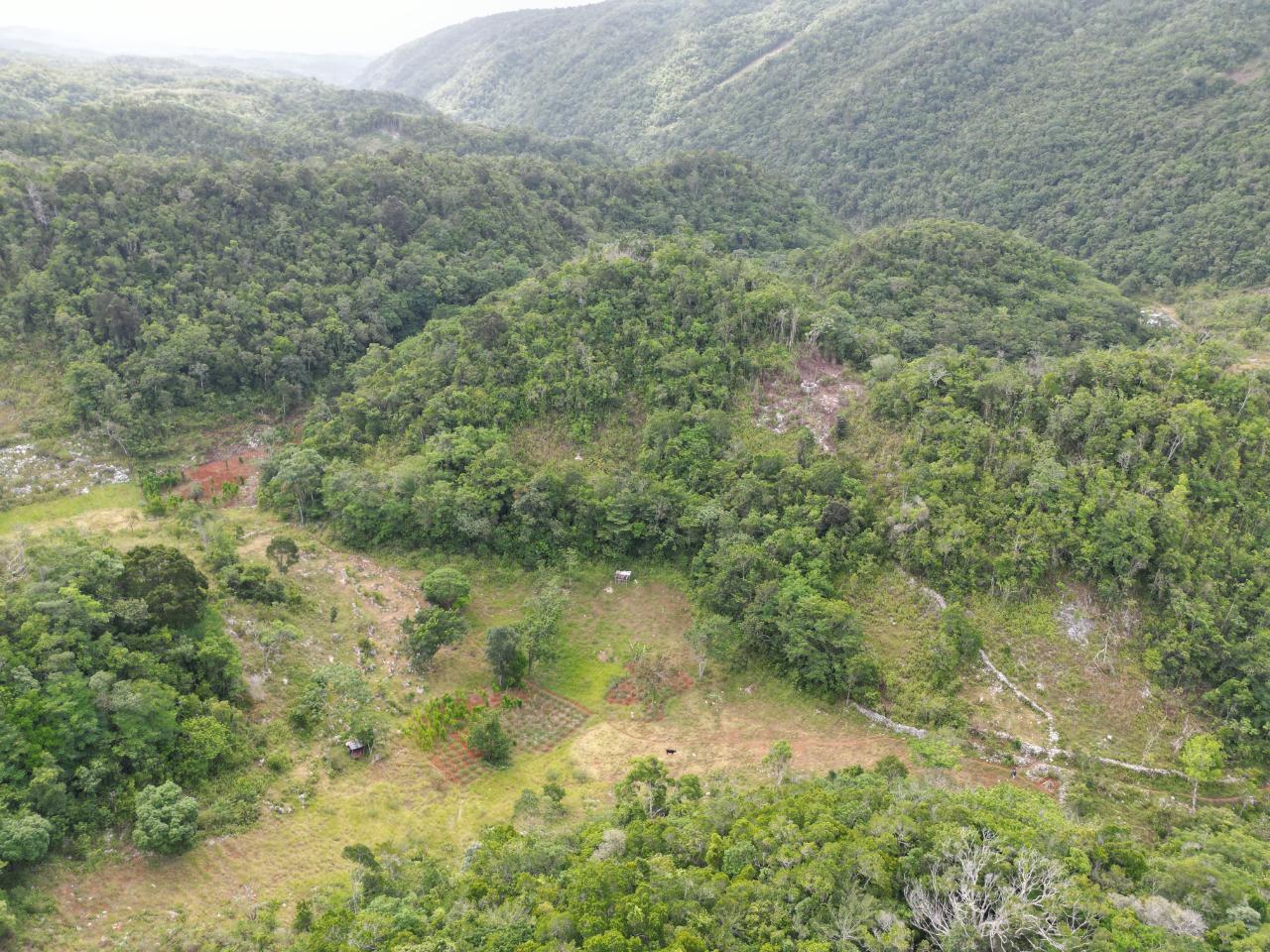 21.5-Acre-Agricultural-Land-for-Sale-in-Lower-Buxton-St.-Ann-Jamaica Third image of Lower Buxton in Lower Buxton, St. Ann, Jamaica - property is For Sale