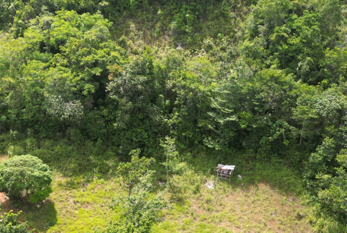 Fourth image of Lower Buxton in Lower Buxton, St. Ann, Jamaica - property is For Sale