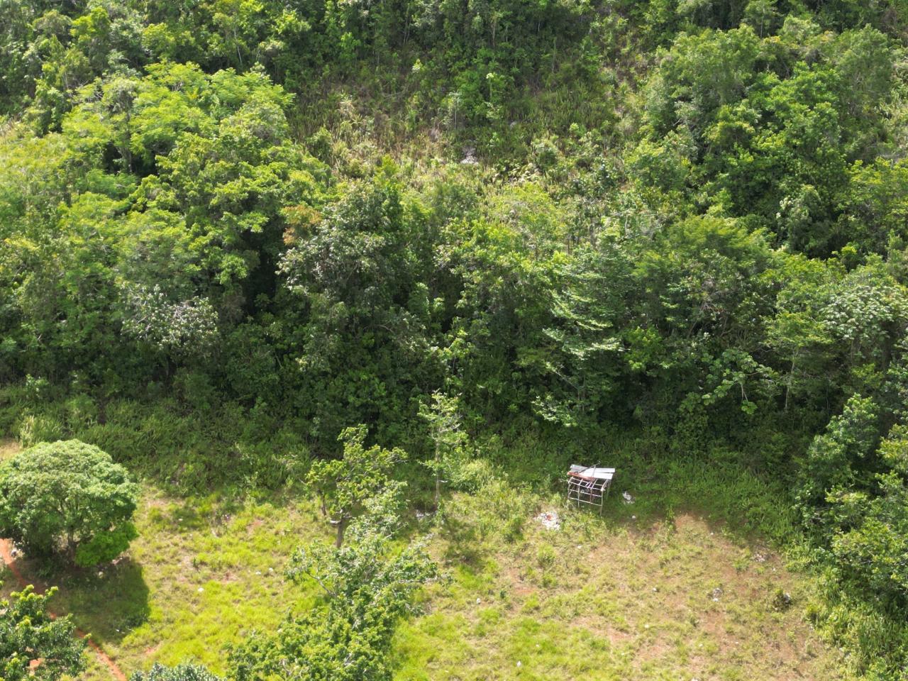 21.5-Acre-Agricultural-Land-for-Sale-in-Lower-Buxton-St.-Ann-Jamaica Fourth image of Lower Buxton in Lower Buxton, St. Ann, Jamaica - property is For Sale