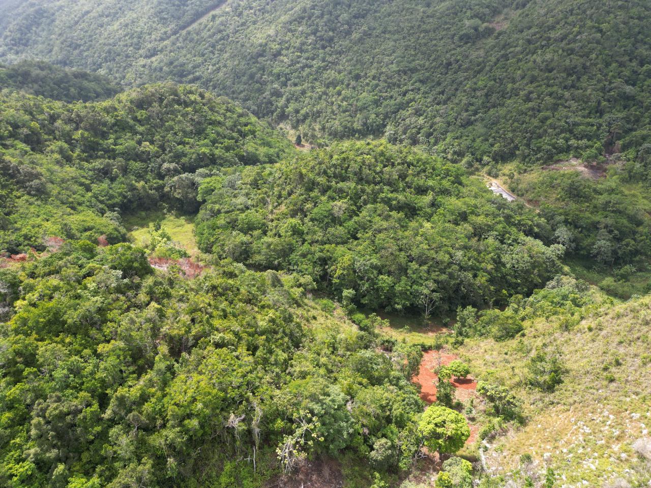 21.5-Acre-Agricultural-Land-for-Sale-in-Lower-Buxton-St.-Ann-Jamaica First image of Lower Buxton in Lower Buxton, St. Ann, Jamaica - property is For Sale