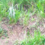 First image of Newport, st Catherine in Troja, St. Catherine, Jamaica - property is For Sale