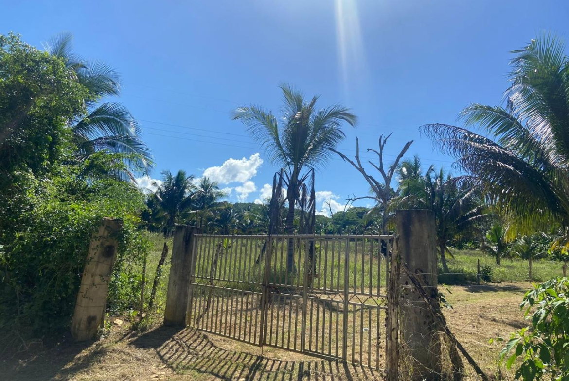 Second image of Summer Hill in Martha Brae, Trelawny, Jamaica - property is For Sale