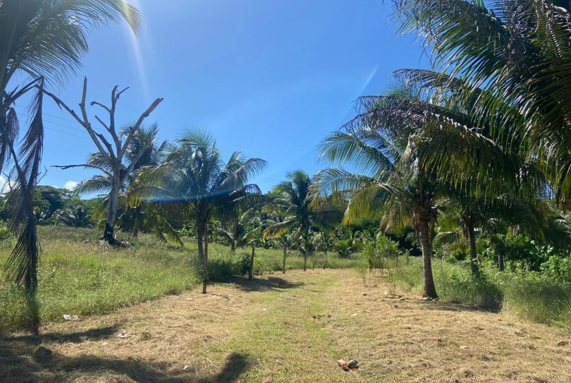 Third image of Summer Hill in Martha Brae, Trelawny, Jamaica - property is For Sale