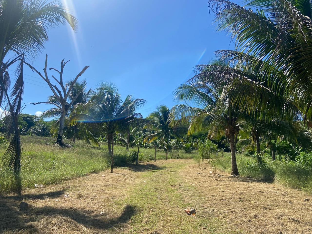 Third image of Summer Hill in Martha Brae, Trelawny, Jamaica - property is For Sale