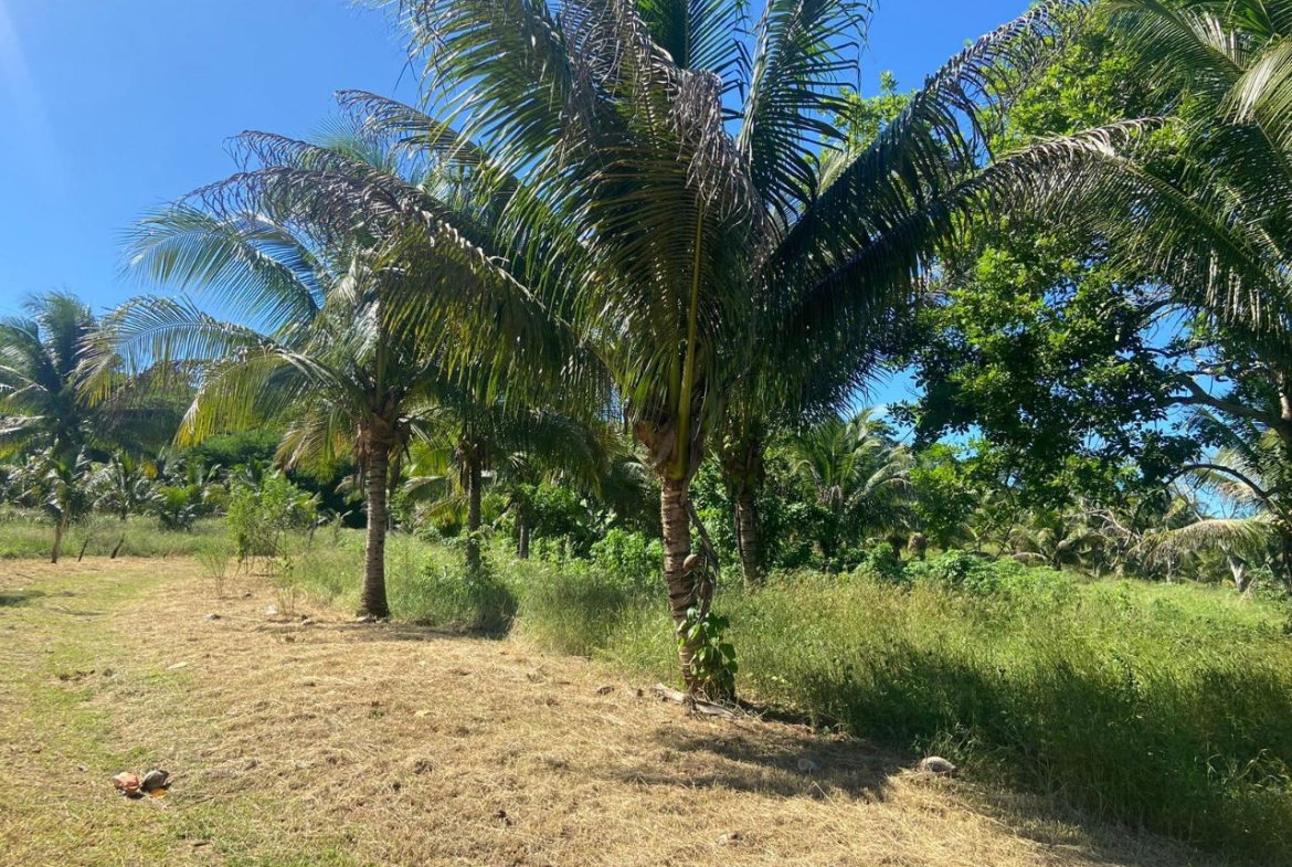 Fourth image of Summer Hill in Martha Brae, Trelawny, Jamaica - property is For Sale