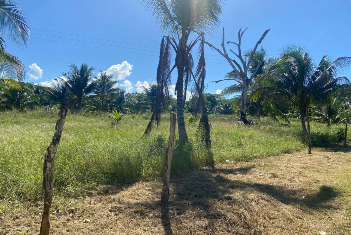 Fifth image of Summer Hill in Martha Brae, Trelawny, Jamaica - property is For Sale