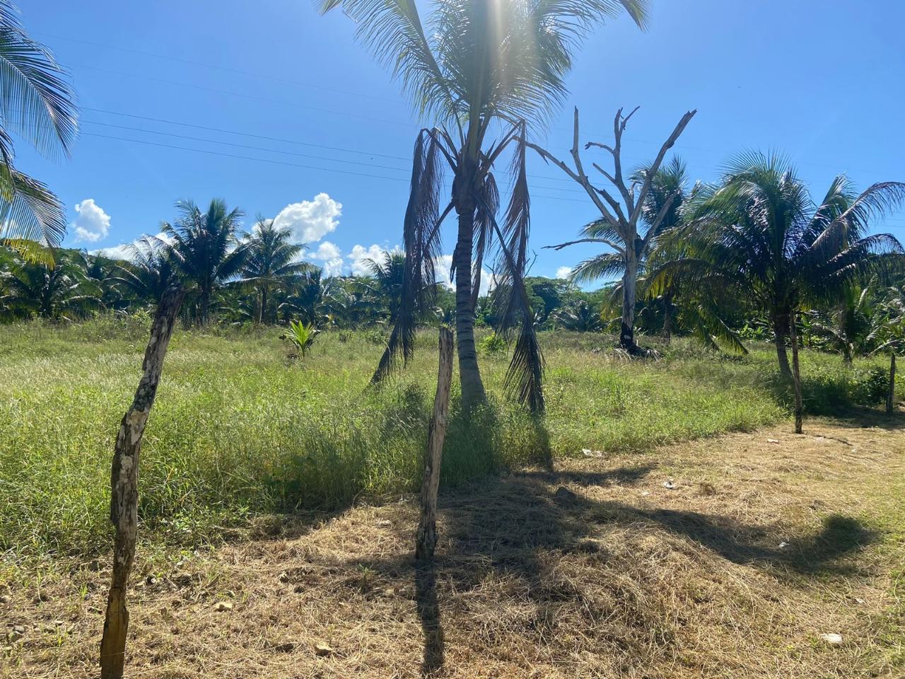 Fifth image of Summer Hill in Martha Brae, Trelawny, Jamaica - property is For Sale