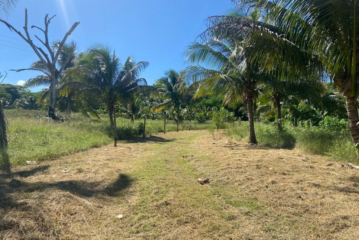 Sixth image of Summer Hill in Martha Brae, Trelawny, Jamaica - property is For Sale