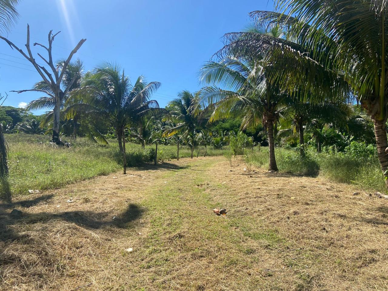 Sixth image of Summer Hill in Martha Brae, Trelawny, Jamaica - property is For Sale