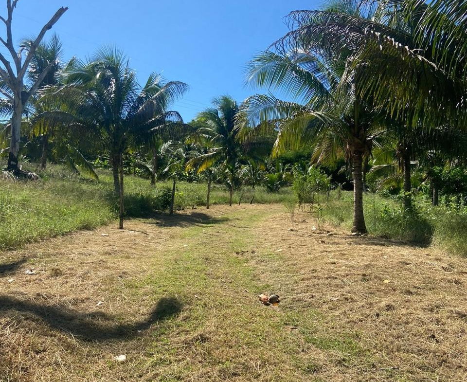 Seventh image of Summer Hill in Martha Brae, Trelawny, Jamaica - property is For Sale