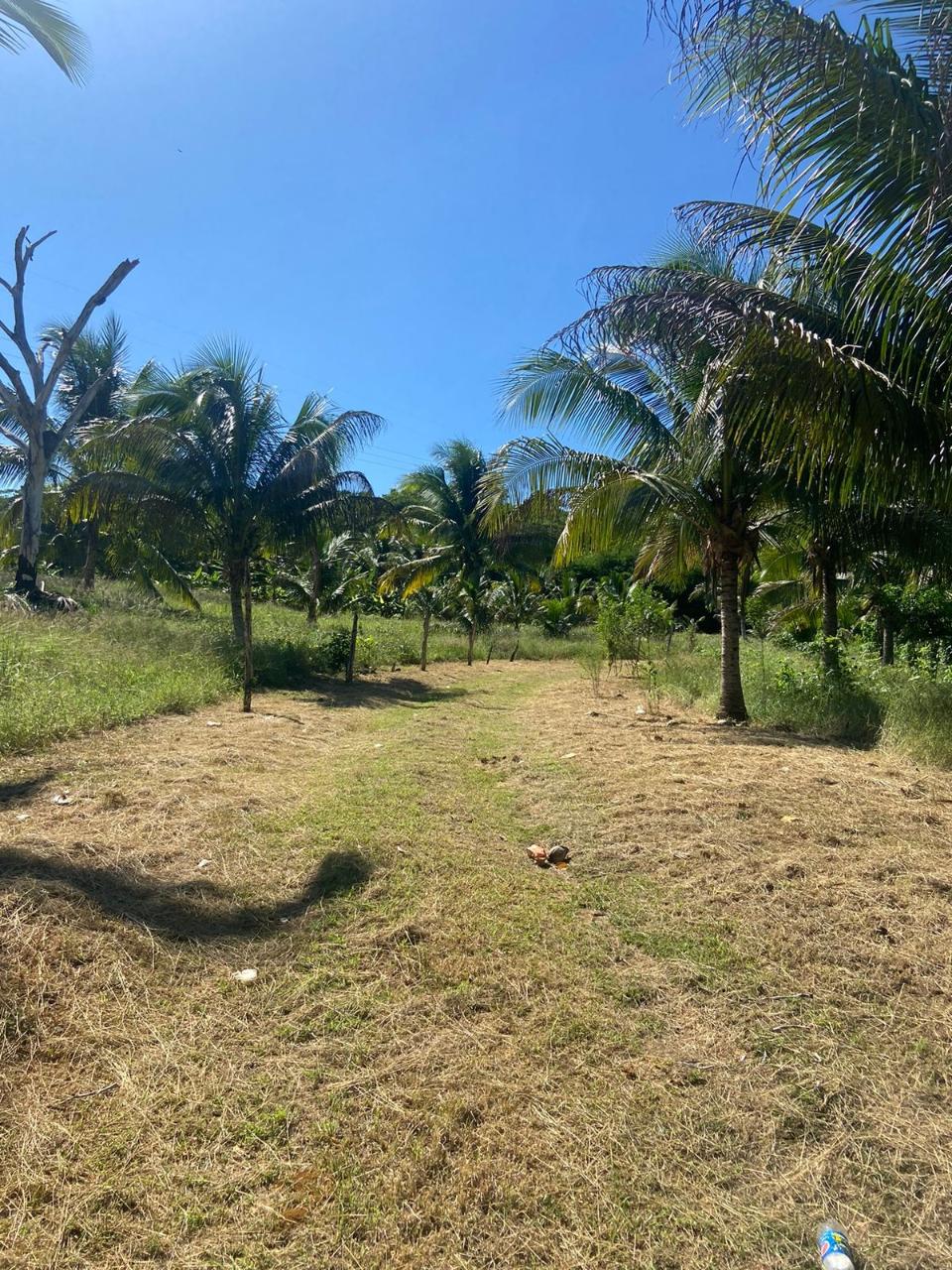 Seventh image of Summer Hill in Martha Brae, Trelawny, Jamaica - property is For Sale