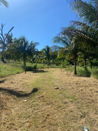 Seventh image of Summer Hill in Martha Brae, Trelawny, Jamaica - property is For Sale