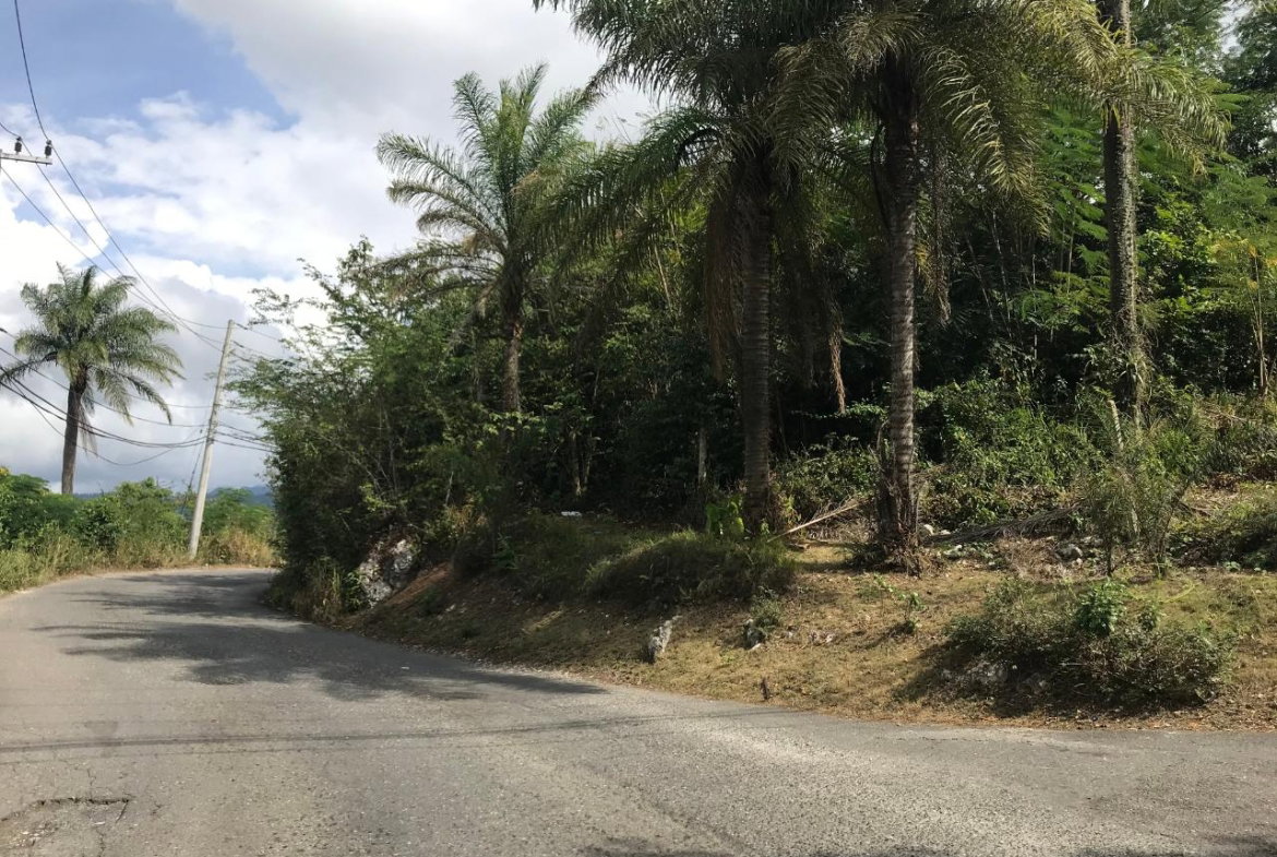 Twenty-First image of 1 Sherbourne Heights in STONY HILL, St. Andrew, Jamaica - property is For Sale