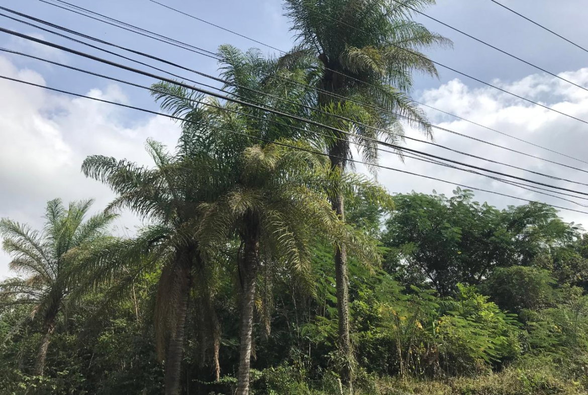 Twenty-Third image of 1 Sherbourne Heights in STONY HILL, St. Andrew, Jamaica - property is For Sale