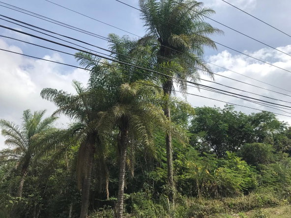 Twenty-Third image of 1 Sherbourne Heights in STONY HILL, St. Andrew, Jamaica - property is For Sale