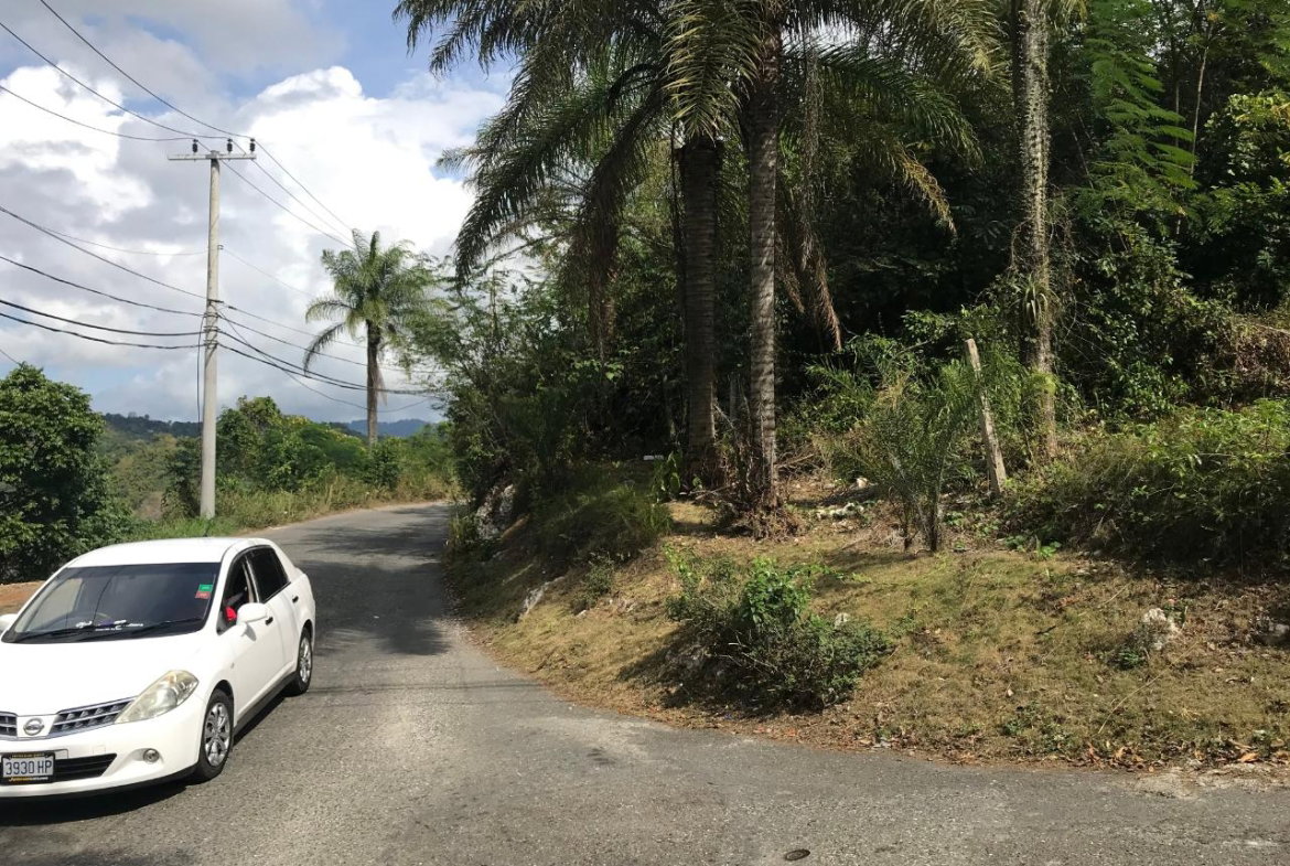 Twenty-Fourth image of 1 Sherbourne Heights in STONY HILL, St. Andrew, Jamaica - property is For Sale