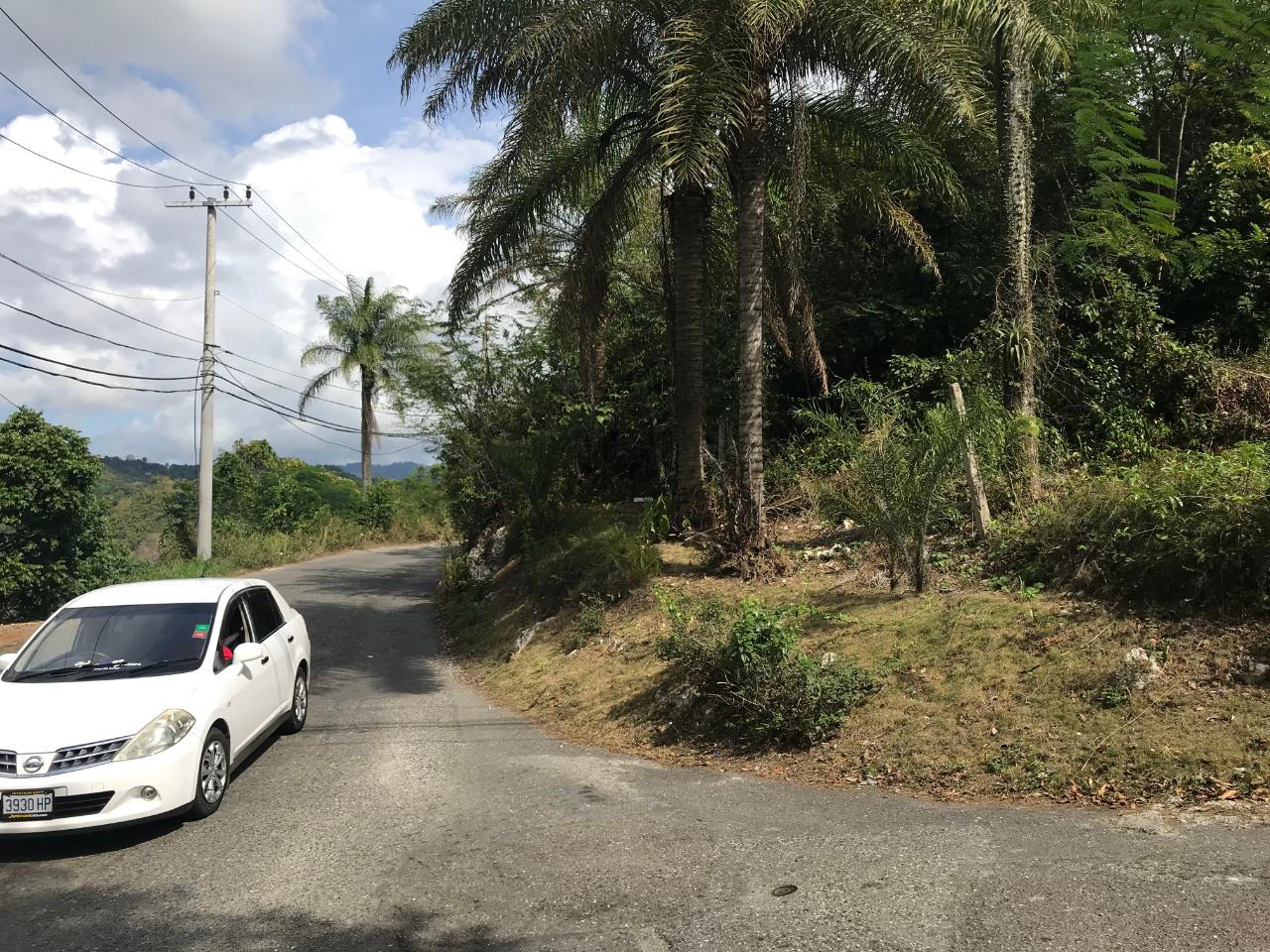 Twenty-Fourth image of 1 Sherbourne Heights in STONY HILL, St. Andrew, Jamaica - property is For Sale