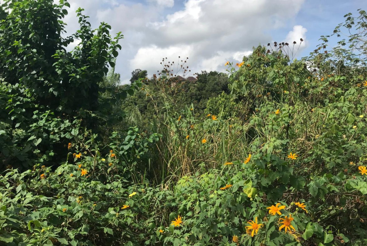 Ninth image of 1 Sherbourne Heights in STONY HILL, St. Andrew, Jamaica - property is For Sale