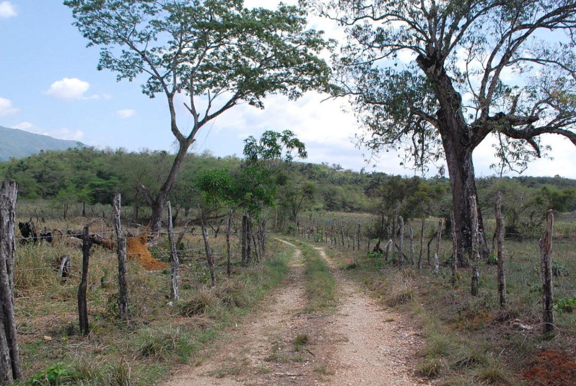 Second image of 10 Bogue, Saint Elizabeth in Elim, St. Elizabeth, Jamaica - property is For Sale