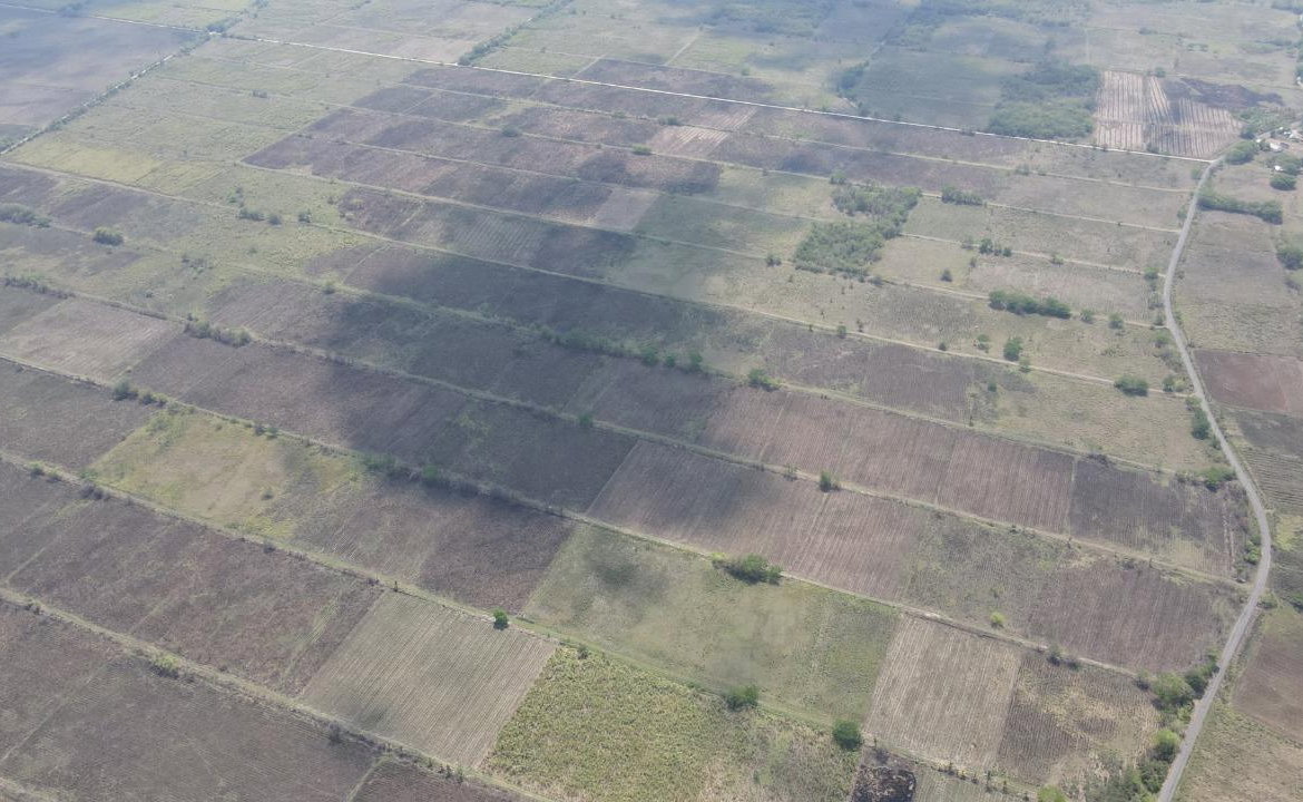 Fifth image of 10 Bogue, Saint Elizabeth in Elim, St. Elizabeth, Jamaica - property is For Sale